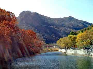 澳门天天开奖免费资料，普圆钢